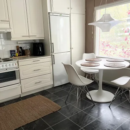 Kaksio Paritalossa Apartmán *
